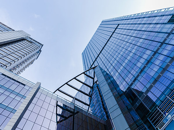 泰中国际控股（海南）有限公司